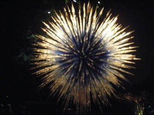 Bonick Landscaping Chihuly at The Dallas Arboretum  