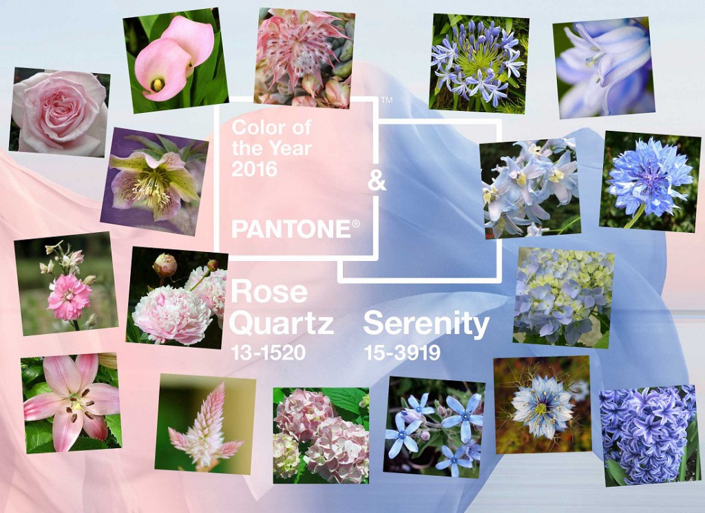 Bonick Landscaping Gardening Inspiration: Pantone Colors of the Year 2016  