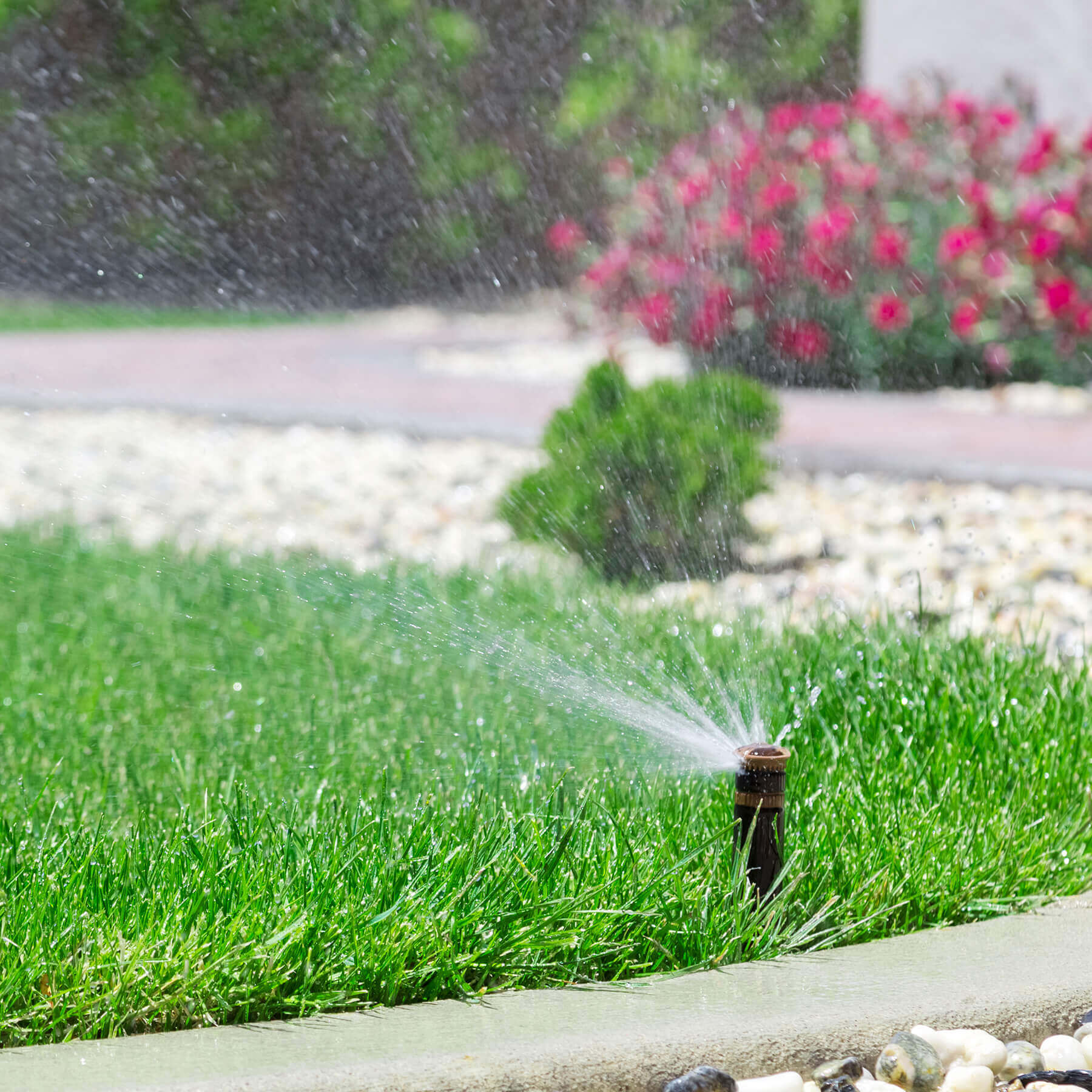 Bonick Landscaping Optimizing Smart Irrigation Systems for Texas Summers  