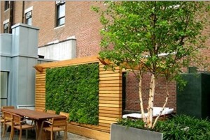 Garden Up with Green Walls