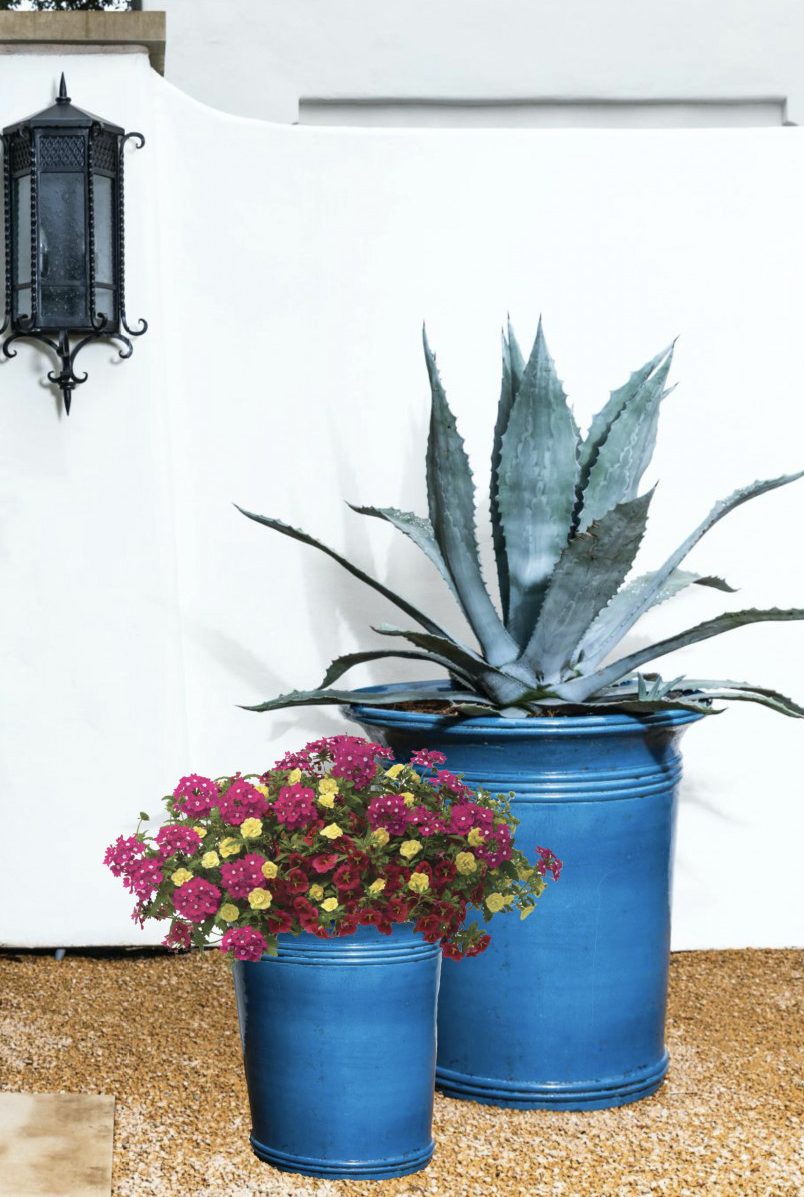 Bonick Landscaping Adding Color with Architectural Planters  