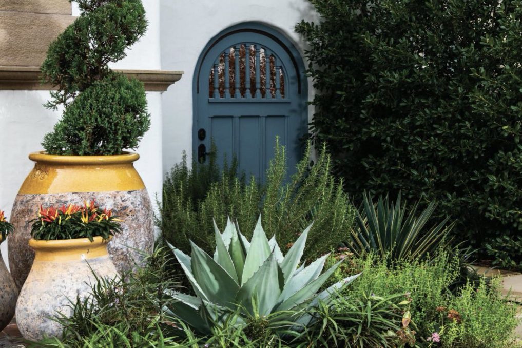 Adding Color with Architectural Planters