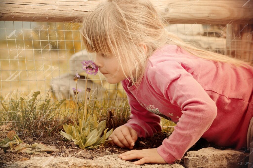 How to Harness the Healing Benefits of a Fragrant Garden - Bonick