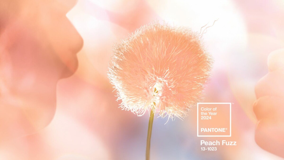 Cultivate Connection with Pantone’s 2024 Color of the Year: Peach Fuzz