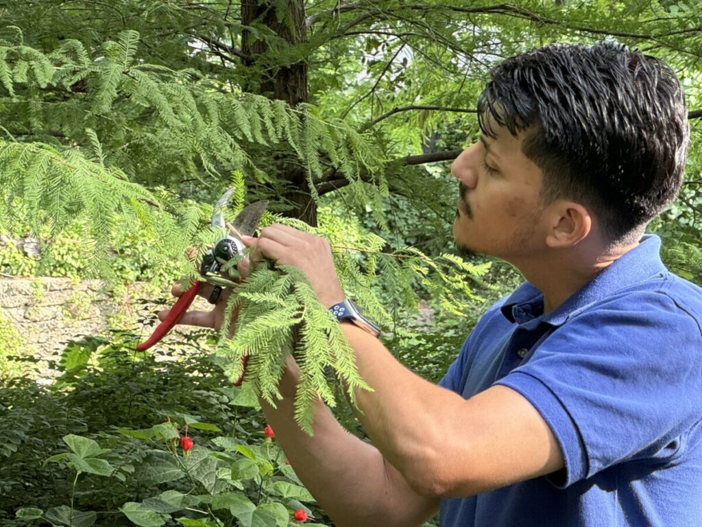 Bonick Landscaping Behind the Scenes With Our Garden Care Team  