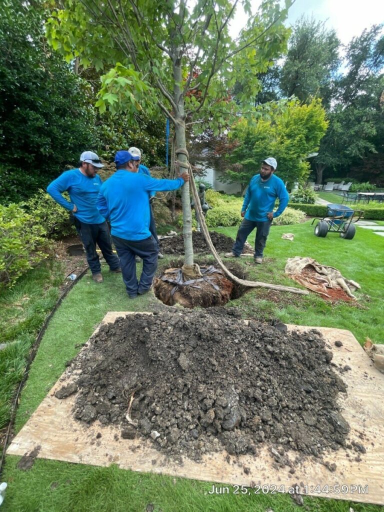 Bonick Landscaping Behind the Scenes With Our Garden Care Team  