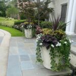 Bonick Landscaping New Year, New Space: 2025 Landscape Design Trends  