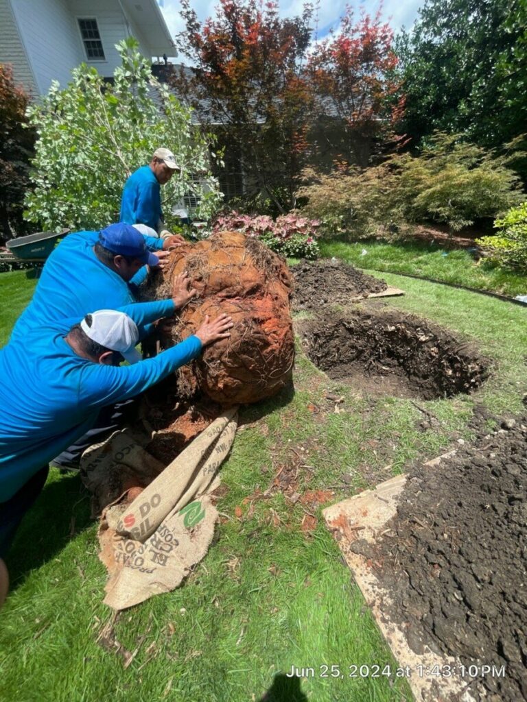 Bonick Landscaping Behind the Scenes With Our Garden Care Team  