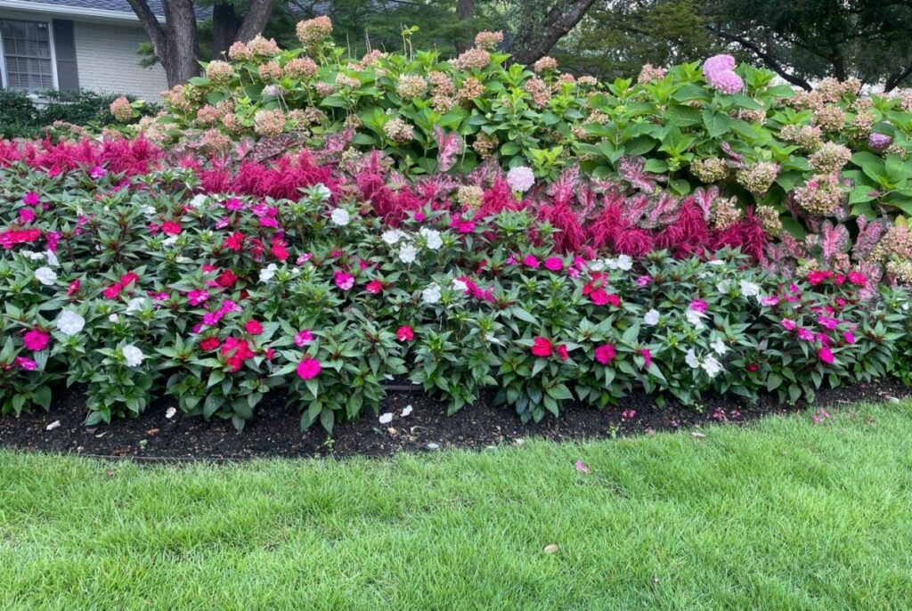 Bonick Landscaping Behind the Scenes With Our Garden Care Team  