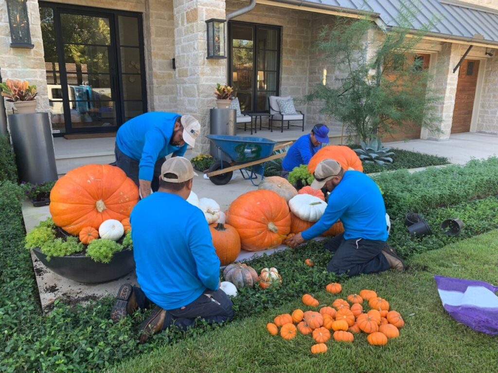 Bonick Landscaping 6 Ways Fall Garden Color Can Spice Up Your Season  