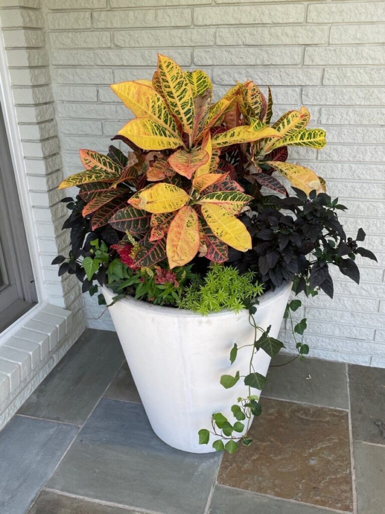 Bonick Landscaping 6 Ways Fall Garden Color Can Spice Up Your Season  