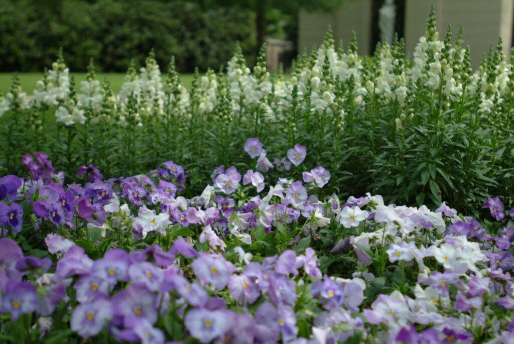 Bonick Landscaping 5 Ways to Refresh Your Gardens with Spring Color Installation  