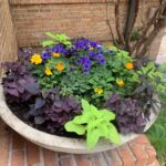 Bonick Landscaping 5 Ways to Refresh Your Gardens with Spring Color Installation  