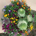 Bonick Landscaping 5 Ways to Refresh Your Gardens with Spring Color Installation  