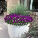 Bonick Landscaping 5 Ways to Refresh Your Gardens with Spring Color Installation  